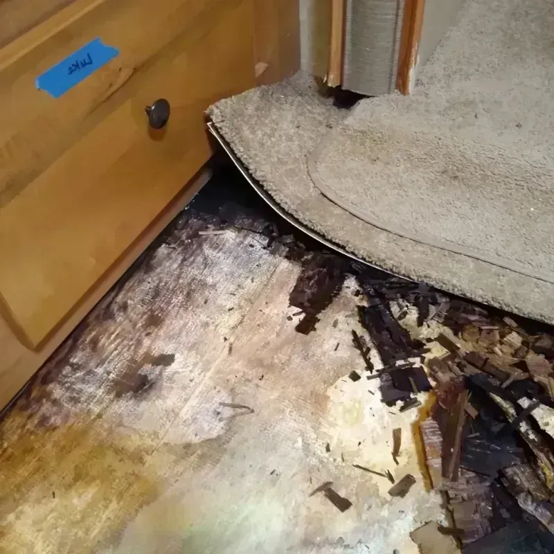 Best Wood Floor Water Damage Service in Suffern, NY